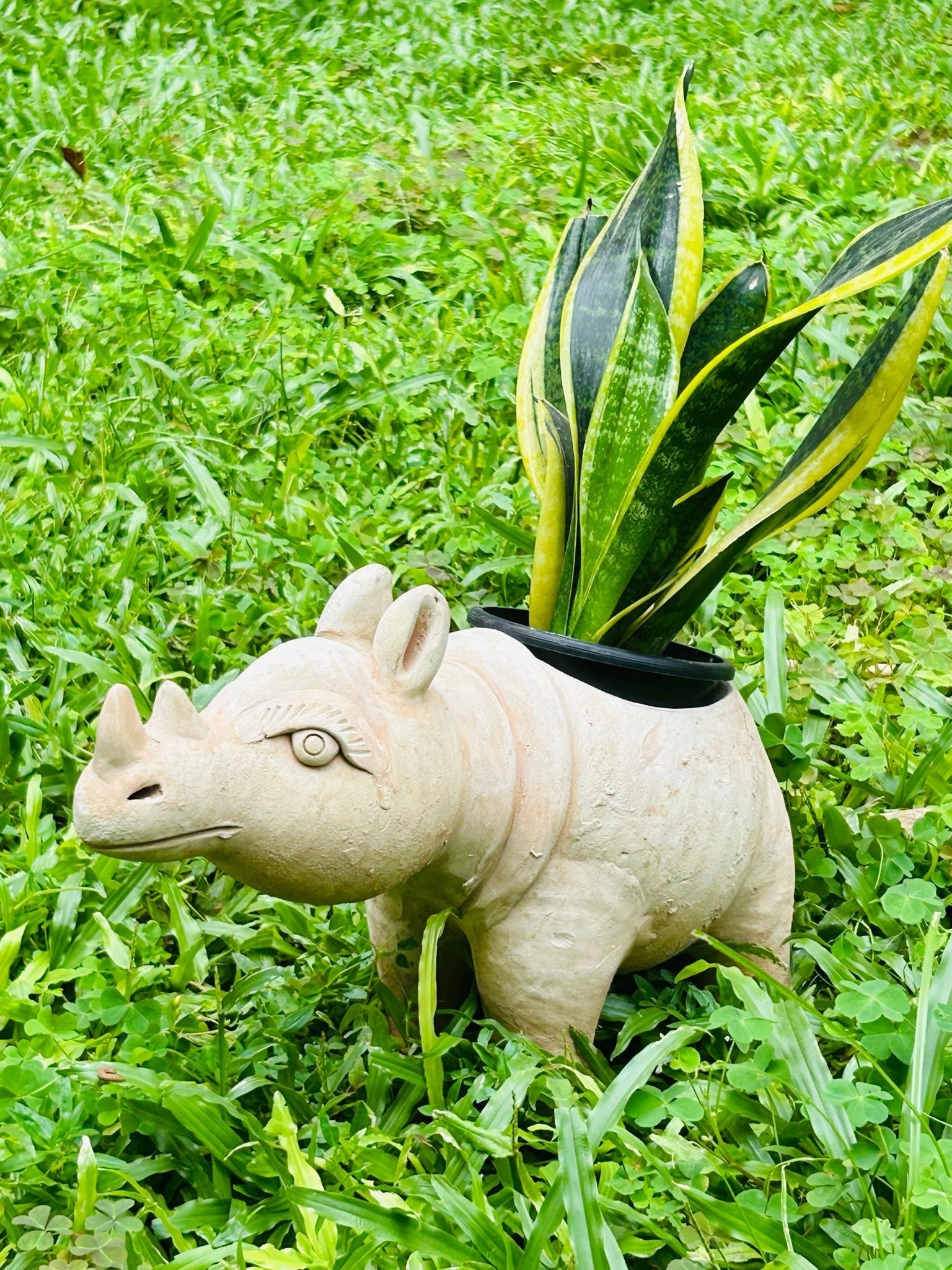 Earthy Rhino Earthern Planter