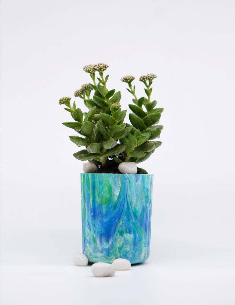 EcoPots Planter- Aquamarine