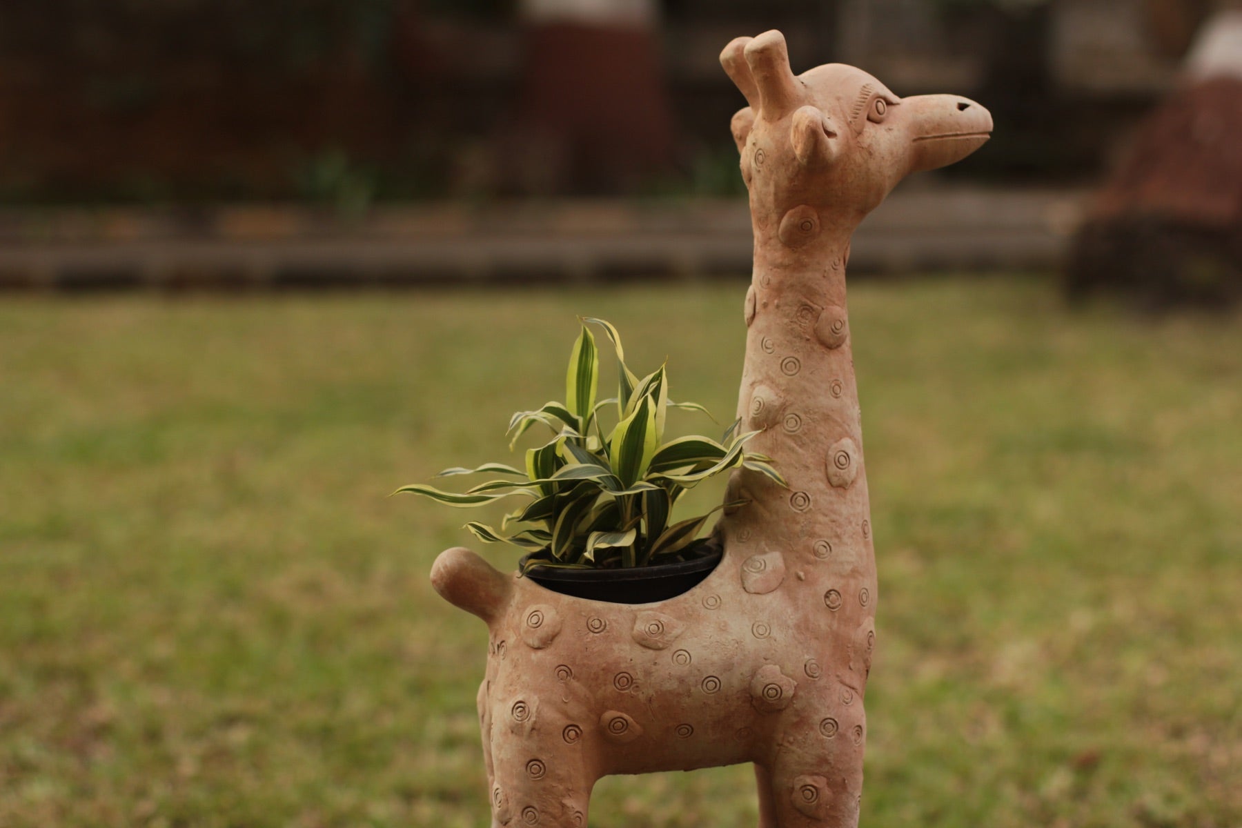 Giraffe Earthern Planter