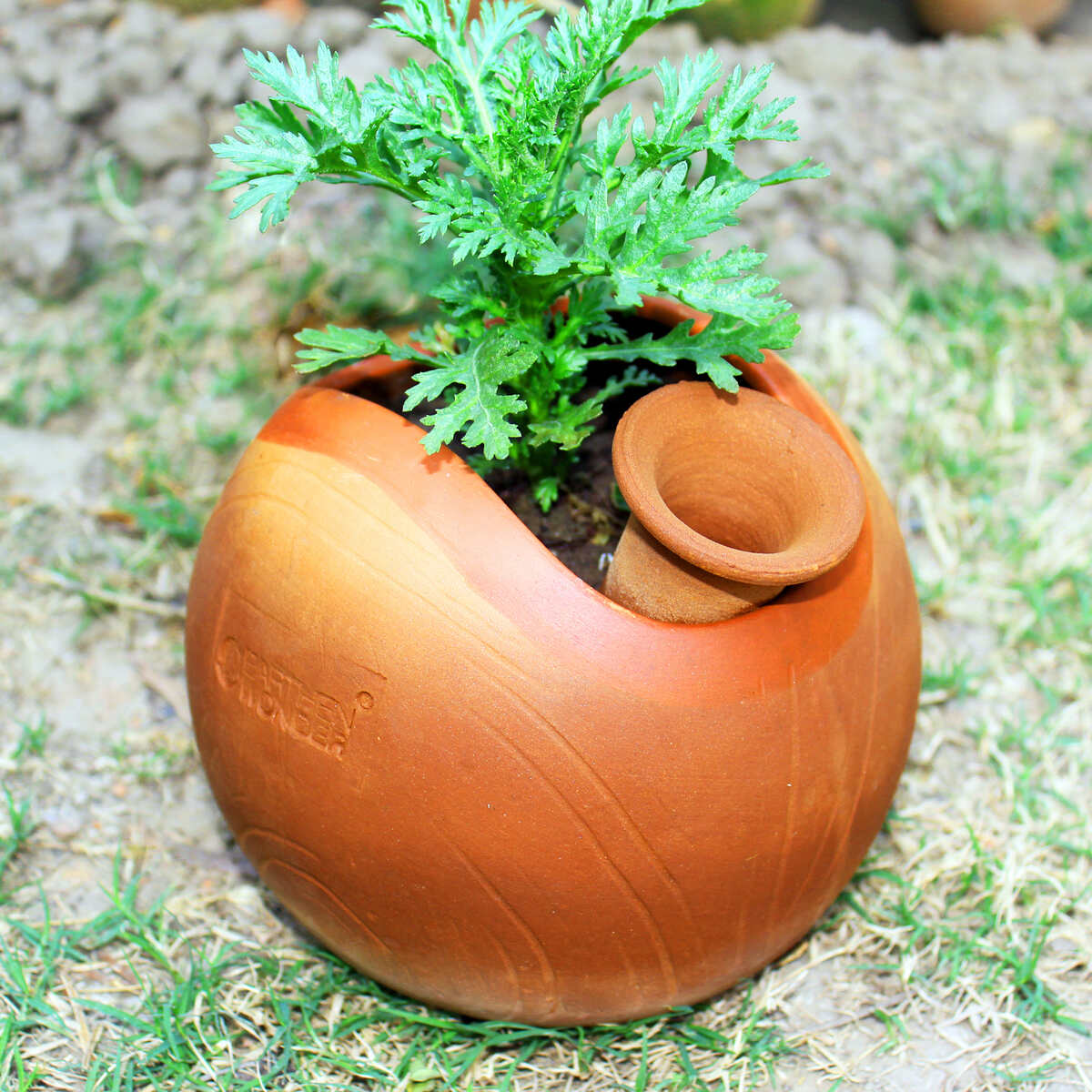 GLO (L) Terracotta Planter with Deep Root Watering System- Set of 2