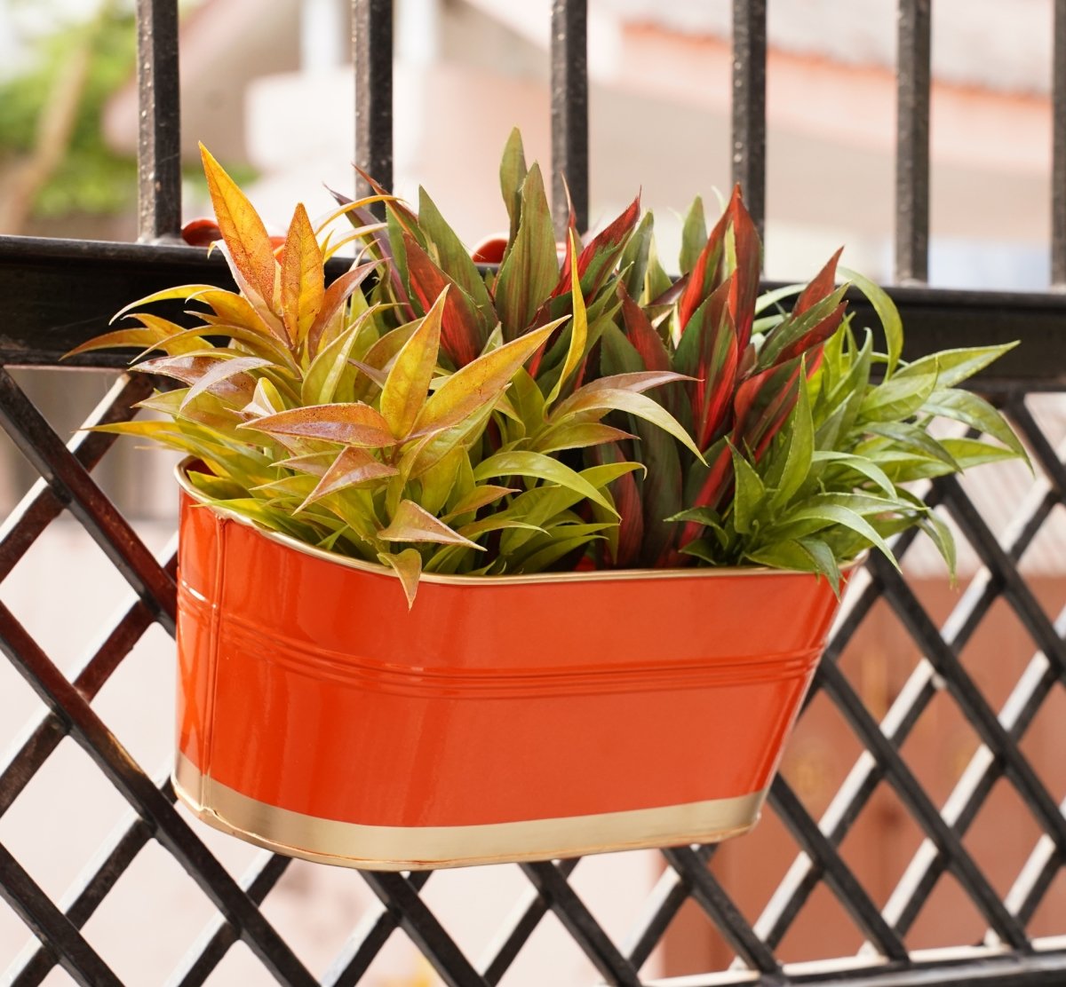 Hanging Pots For Plants Balcony Railing (Orange - Pack4)