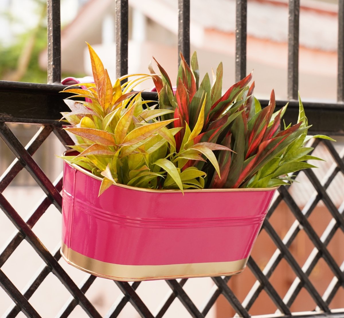 Hanging Pots For Plants Balcony Railing (Pink - Pack6)