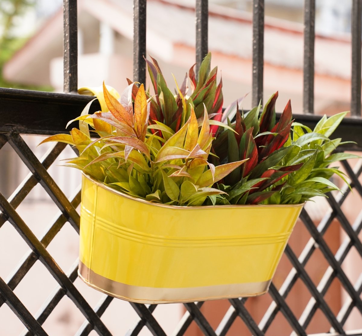 Hanging Pots For Plants Balcony Railing (Yellow - Pack4)