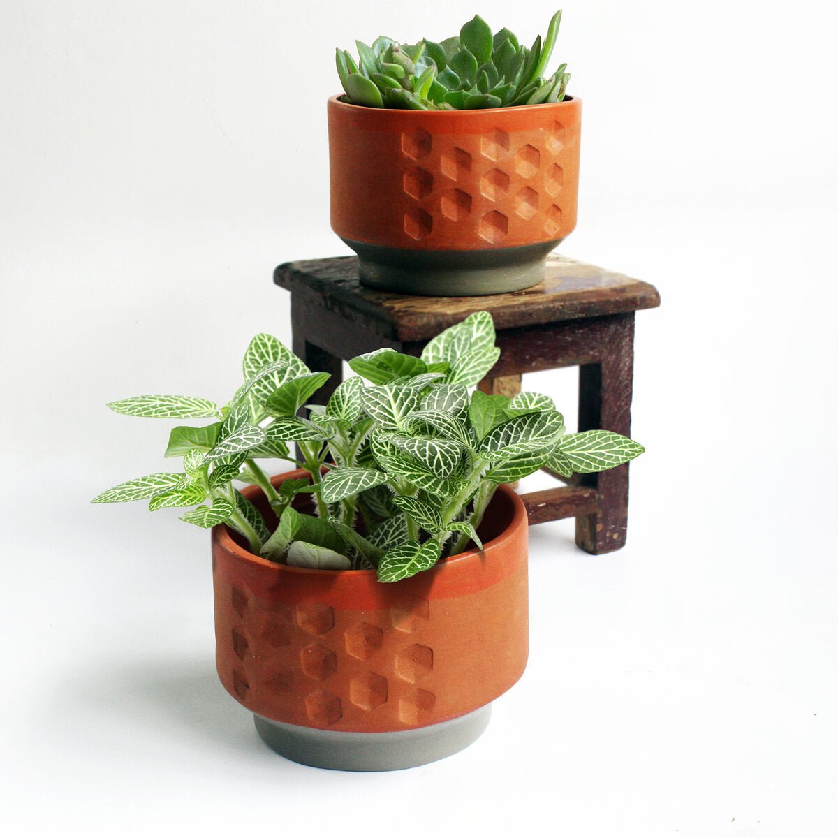 Hexa Deco Terracotta Planter Set of 2