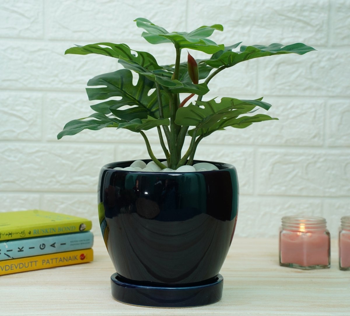 Indoor Ceramic Pot for Living Room - Dark Blue Pot