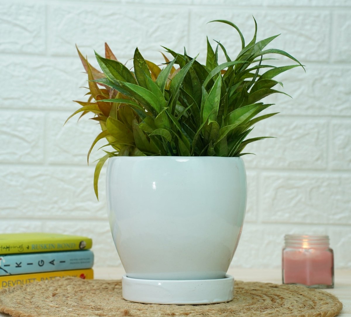 Indoor Ceramic Pot for Living Room - White Pot