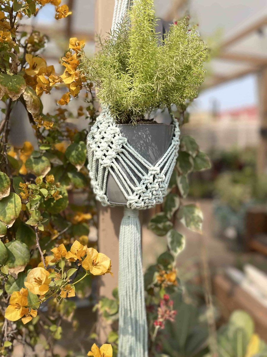 Macrame Plant Hanger Diamond Mesh