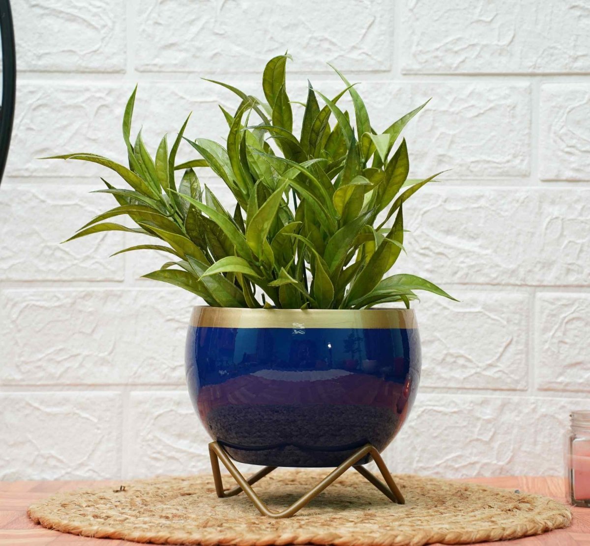 Metal Planters For Living Room | Blue Golden