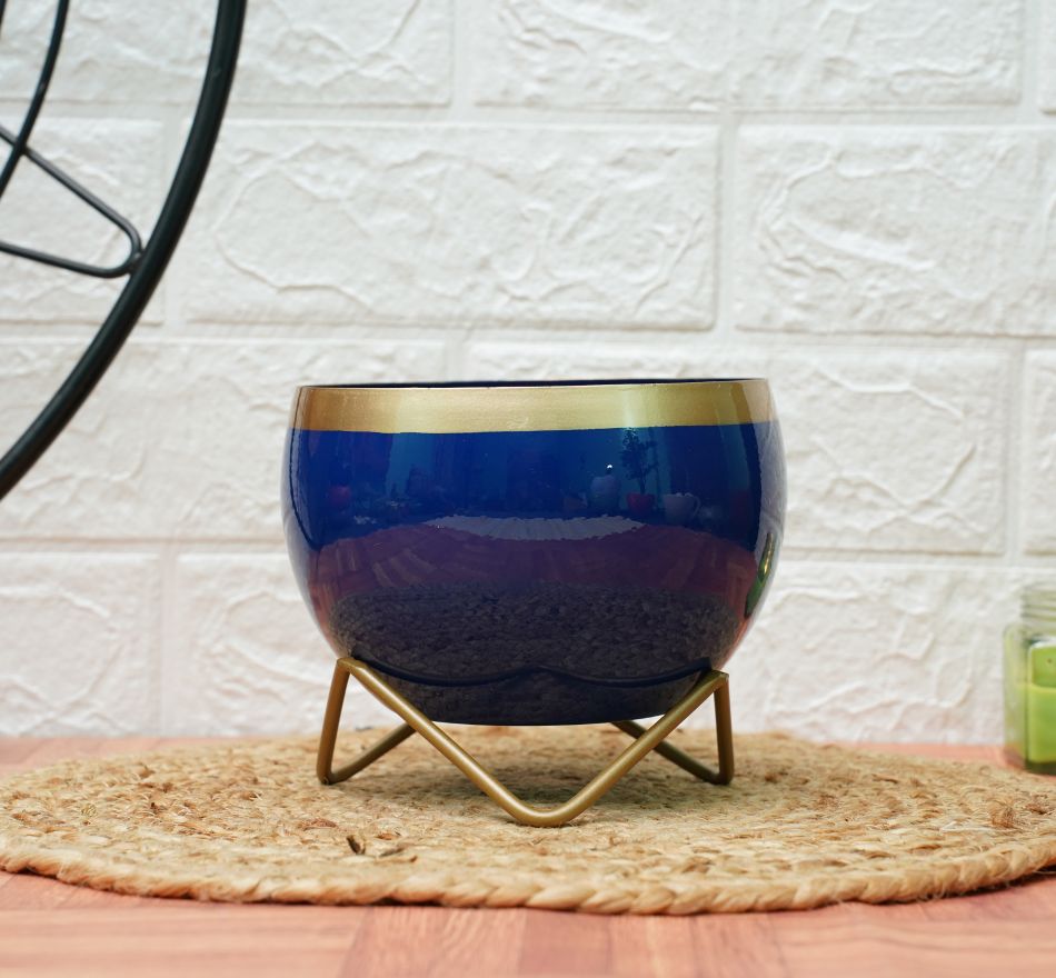 Metal Planters For Living Room | Blue Golden