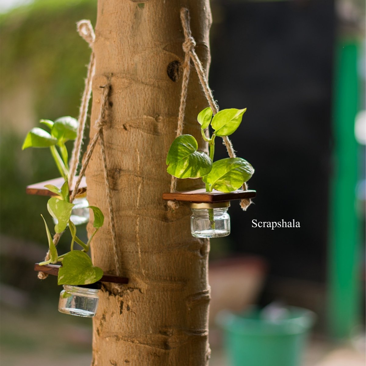 Mini Jar Hanging Planter | Multipurpose | Upcycled