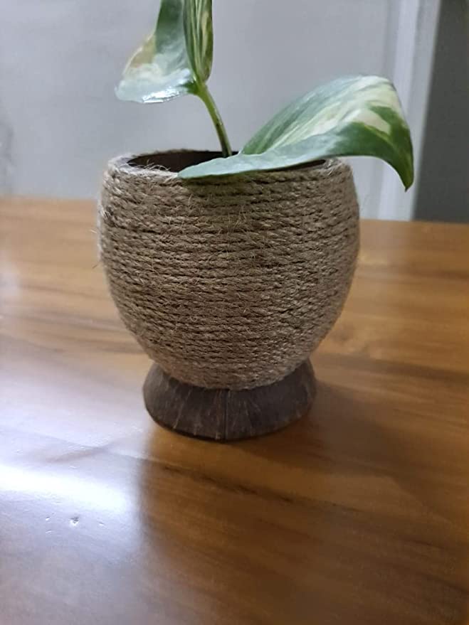 Multipurpose holder made of coconut shell woven with Jute- Spoon holder | Planter | Penholder