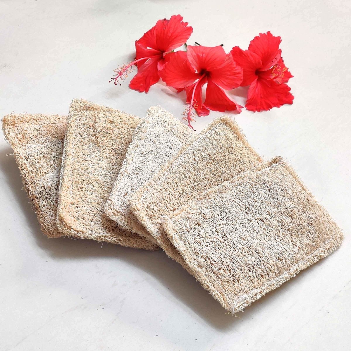 Natural Loofah Dish Scrub (Plant based Utensil Scrub)