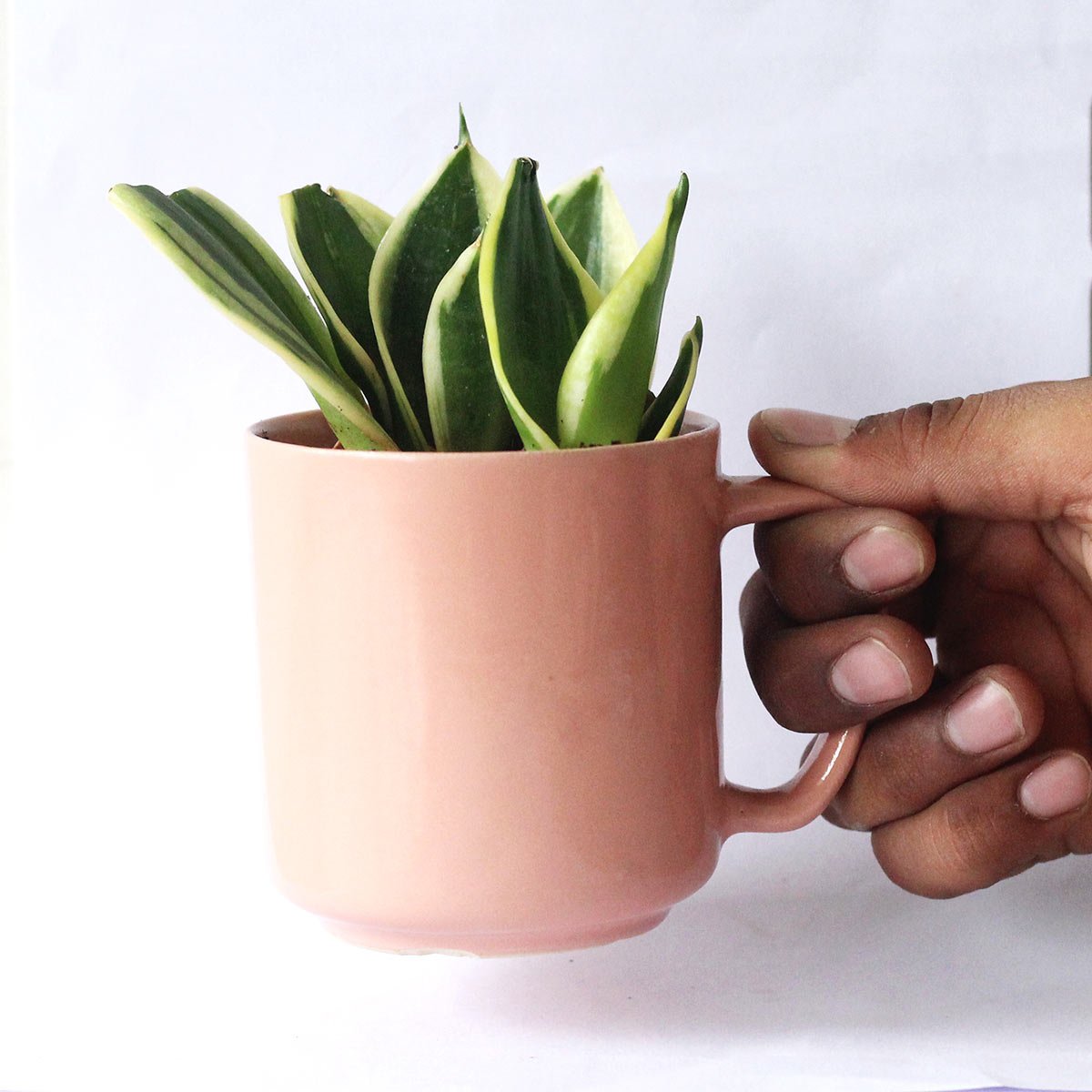 PadmaRecycled Ceramic Desk Planter with holder