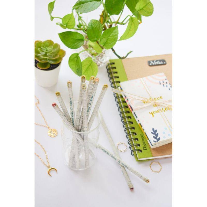 Paper Pencils with Plantable Seeds of Vegetables | Pack of 20 Pencils | Made with Recycled Papers