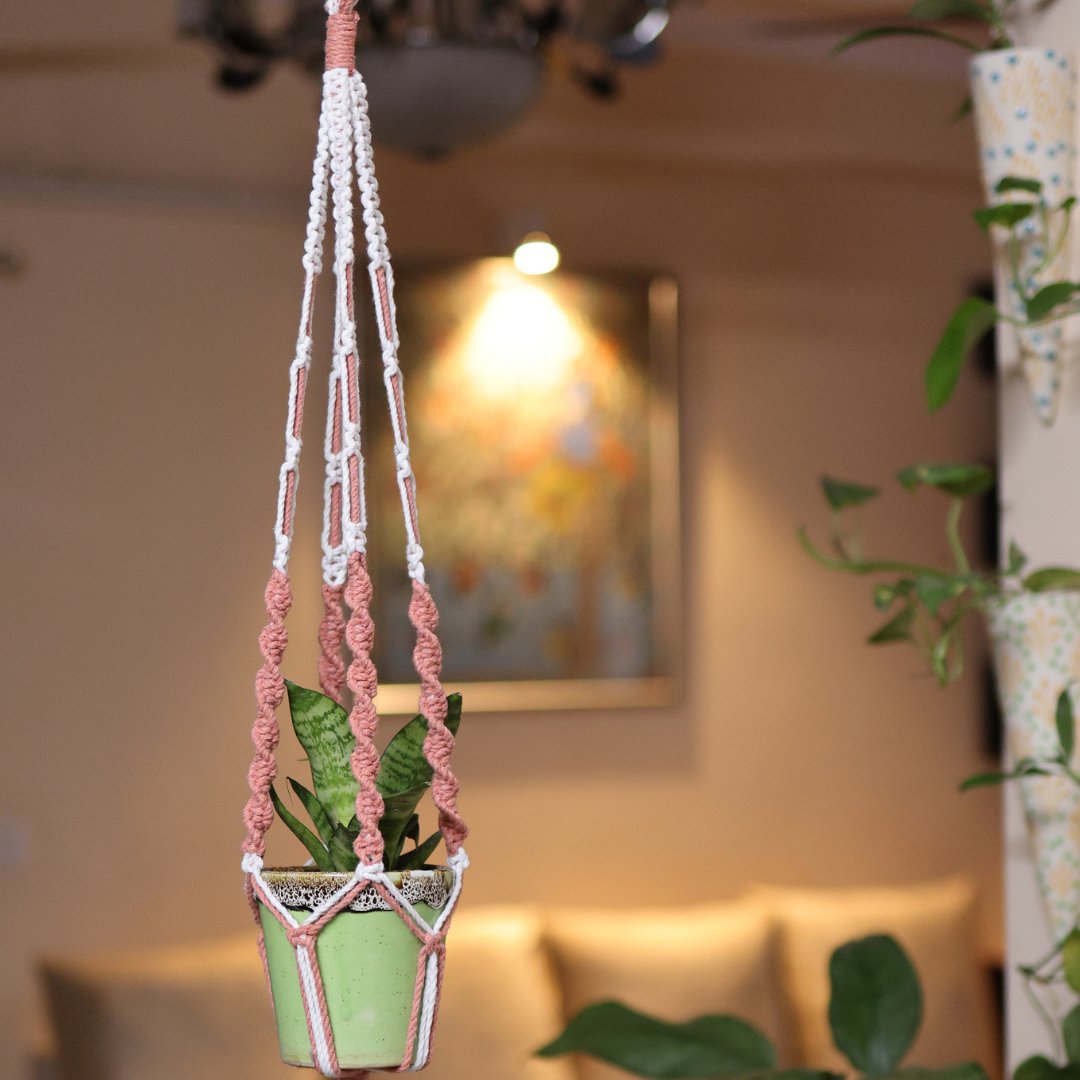 Peach Web Macrame Plant Holder