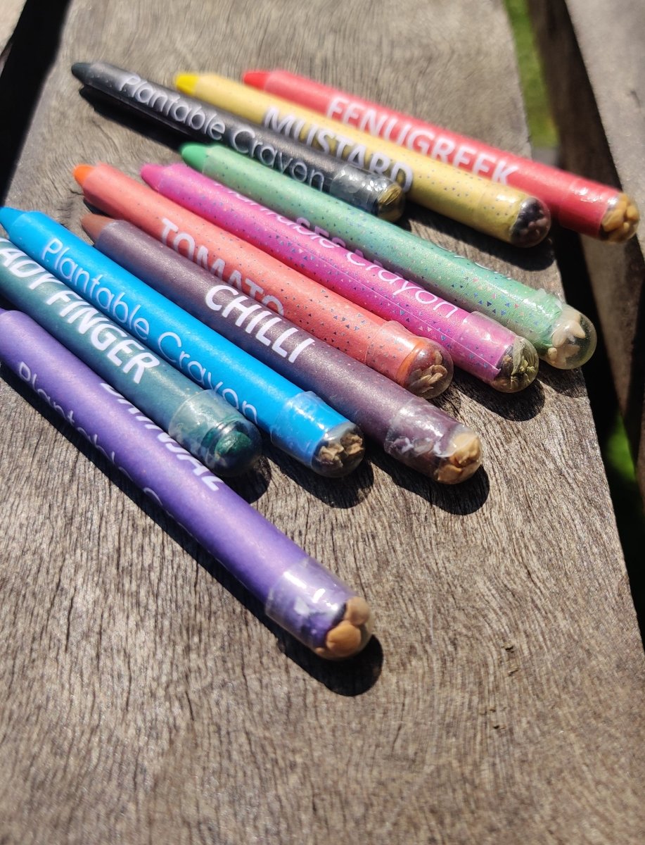 Plantable Seed Crayons | Non- Toxic Colours