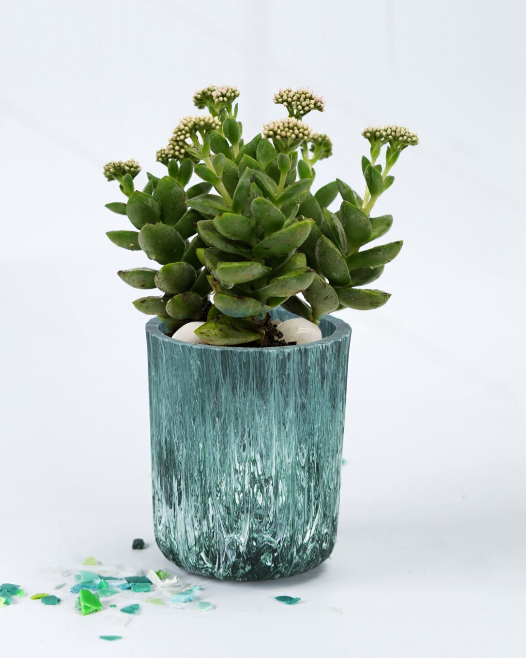 Recycled Eco-Pots- Sage Green