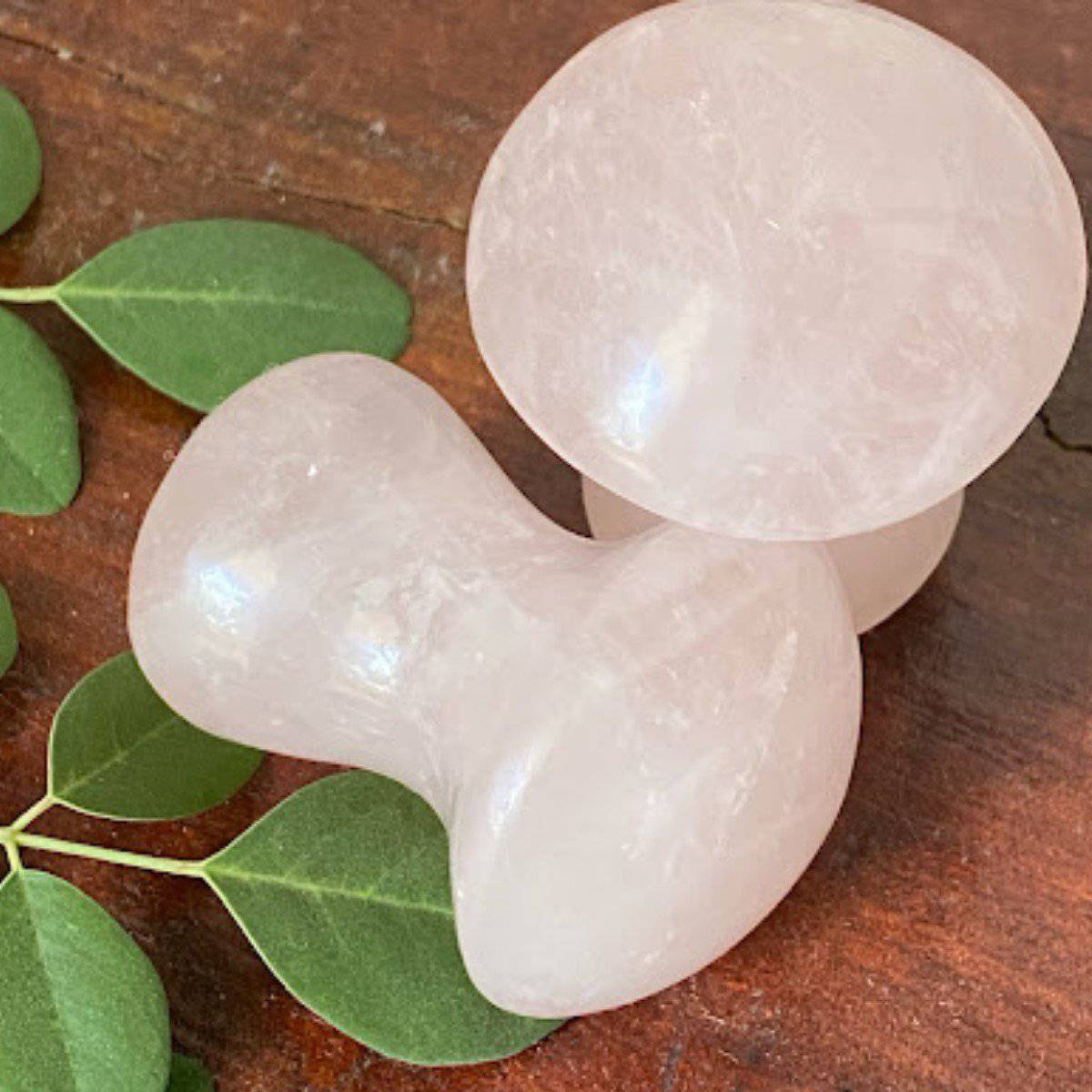 Rose Quartz Mushroom Gua Sha