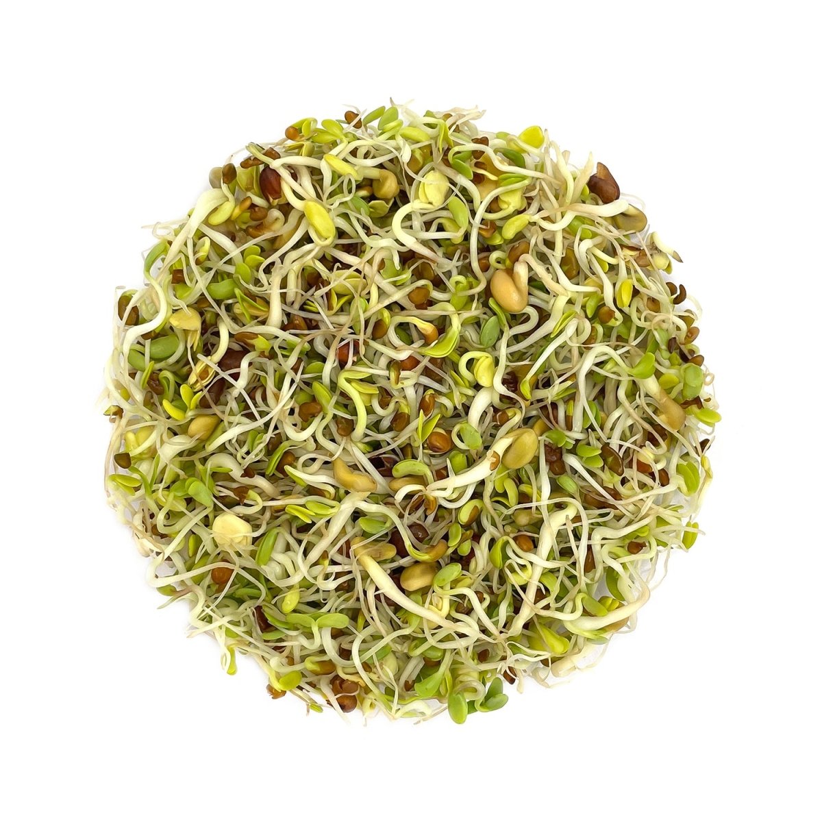 Satopradhan Mix Seeds for Sprouting - 200g