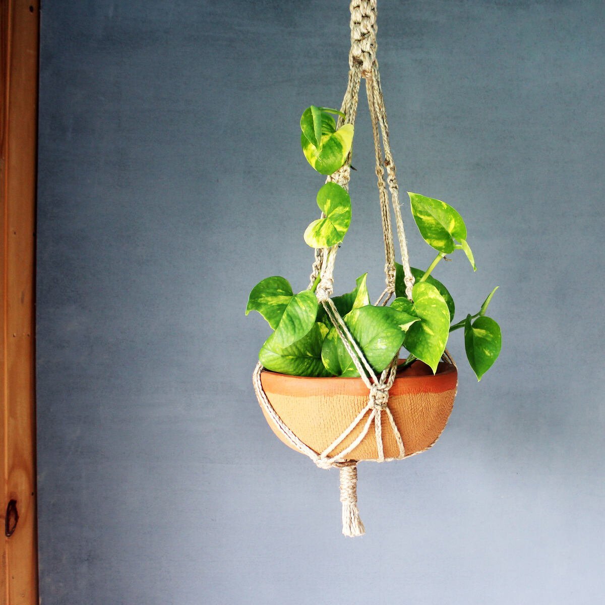 Shallow Terracotta Planter with Jute Macrame Hanger