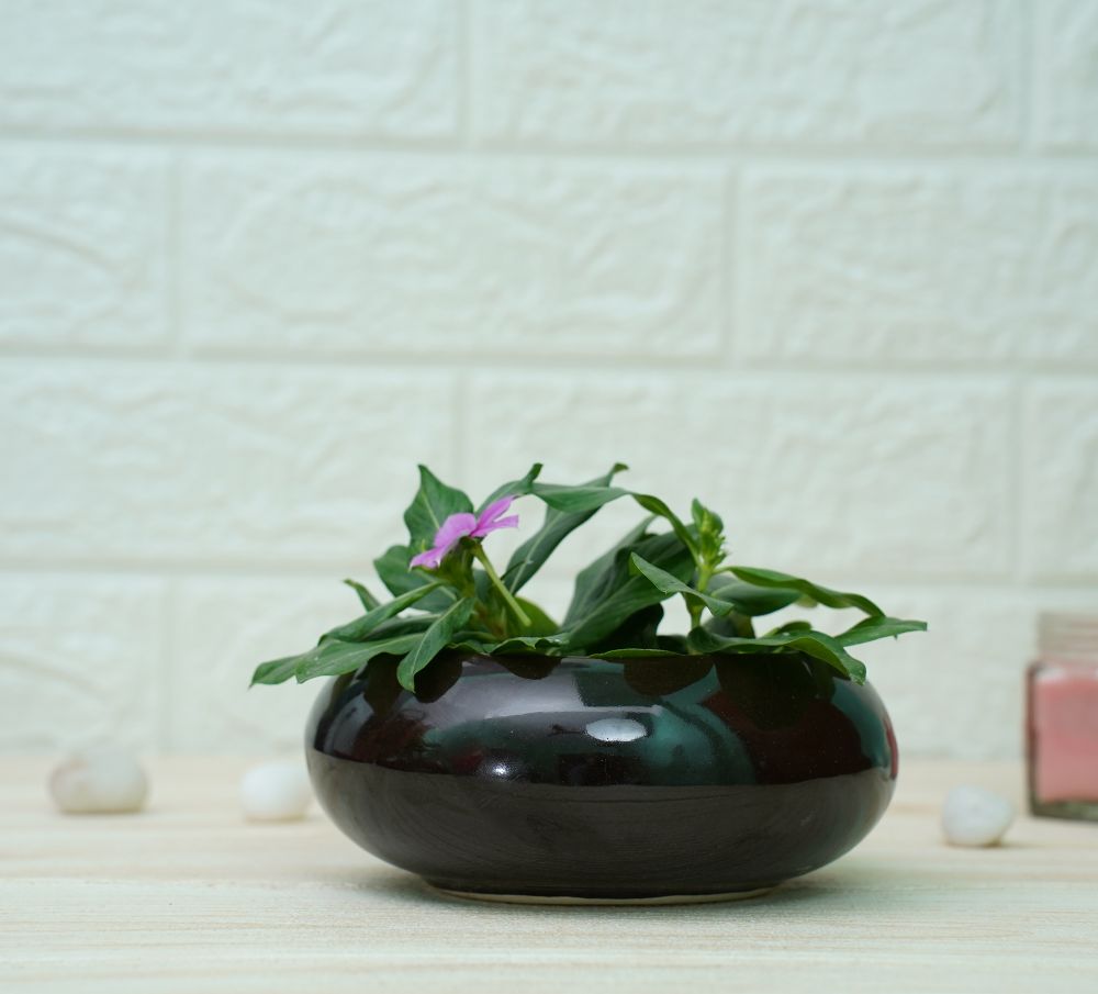 Small Ceramic Pots for Desk | Black