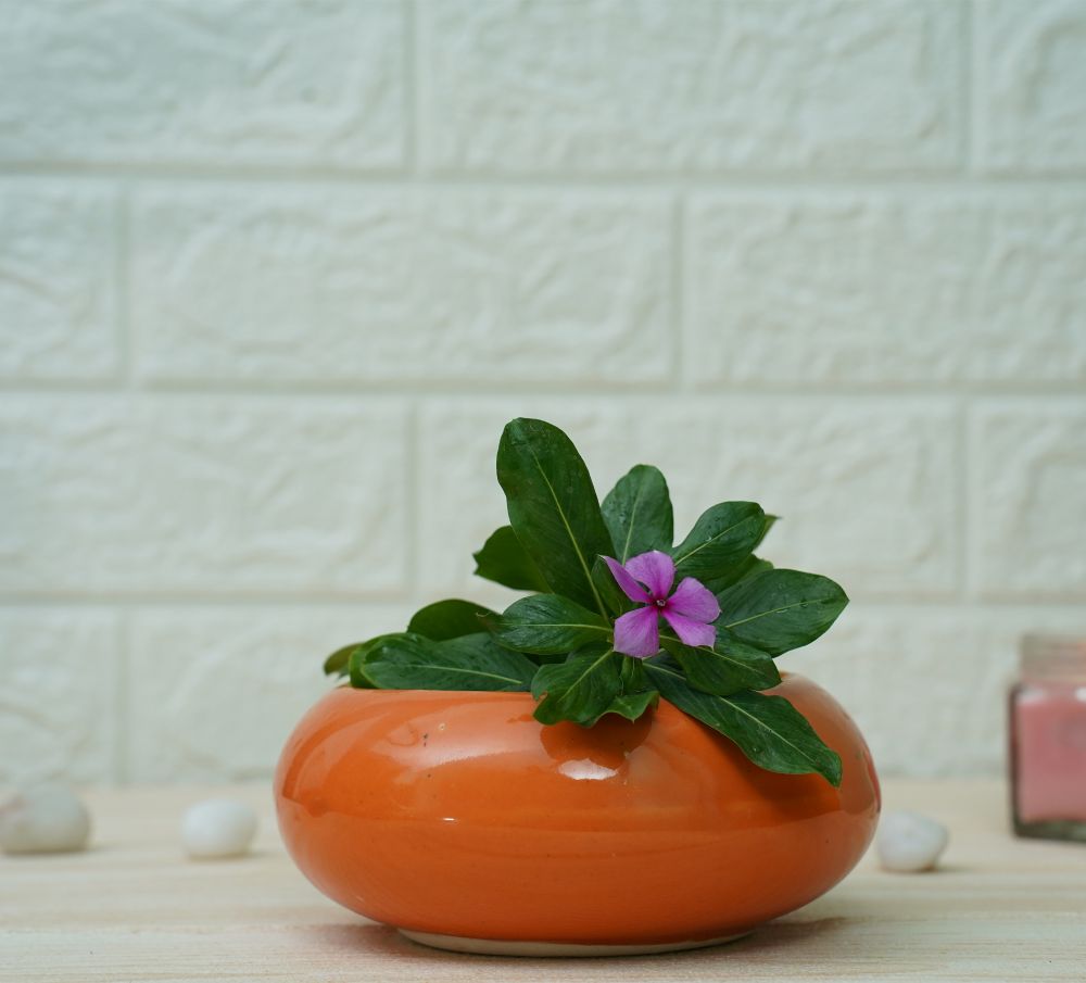 Small Ceramic Pots for Desk | Orange