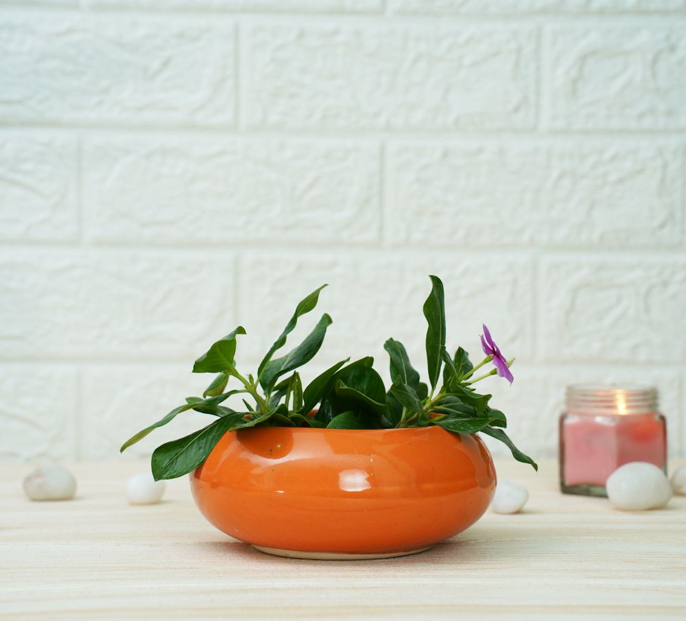 Small Ceramic Pots for Desk | Orange