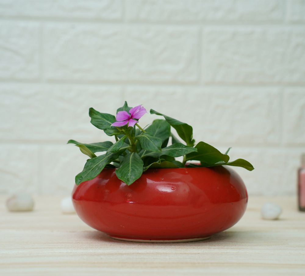 Small Ceramic Pot for Desk | Red