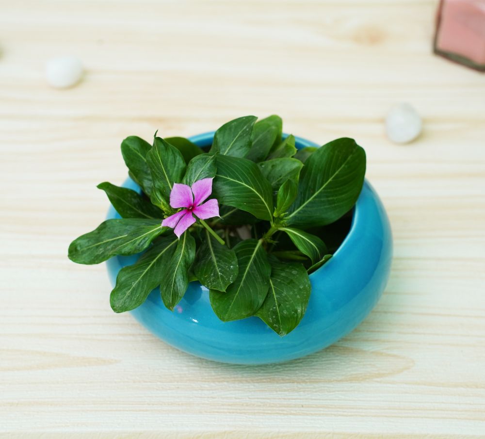 Small Ceramic Pots for Desk | Sky Blue