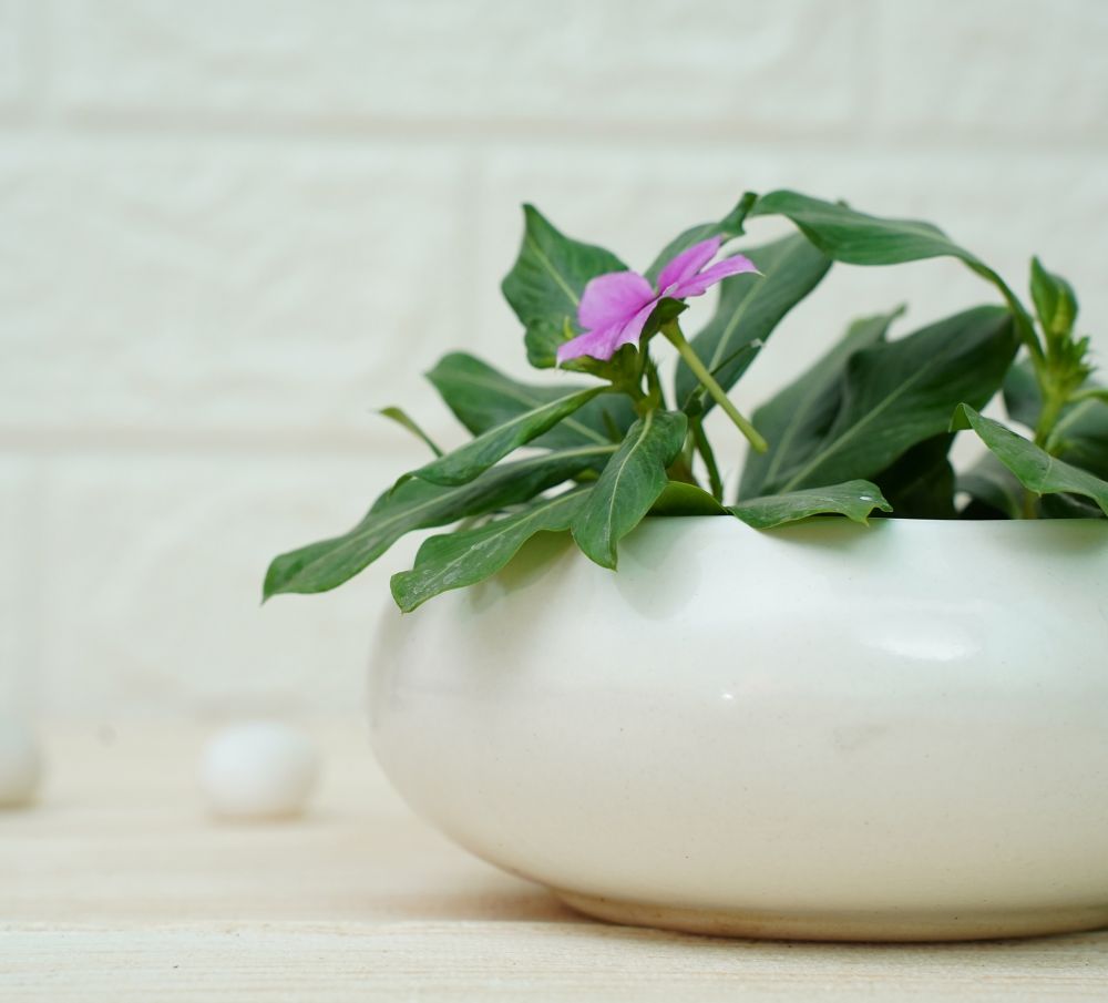 Small Ceramic Pots for Desk | White