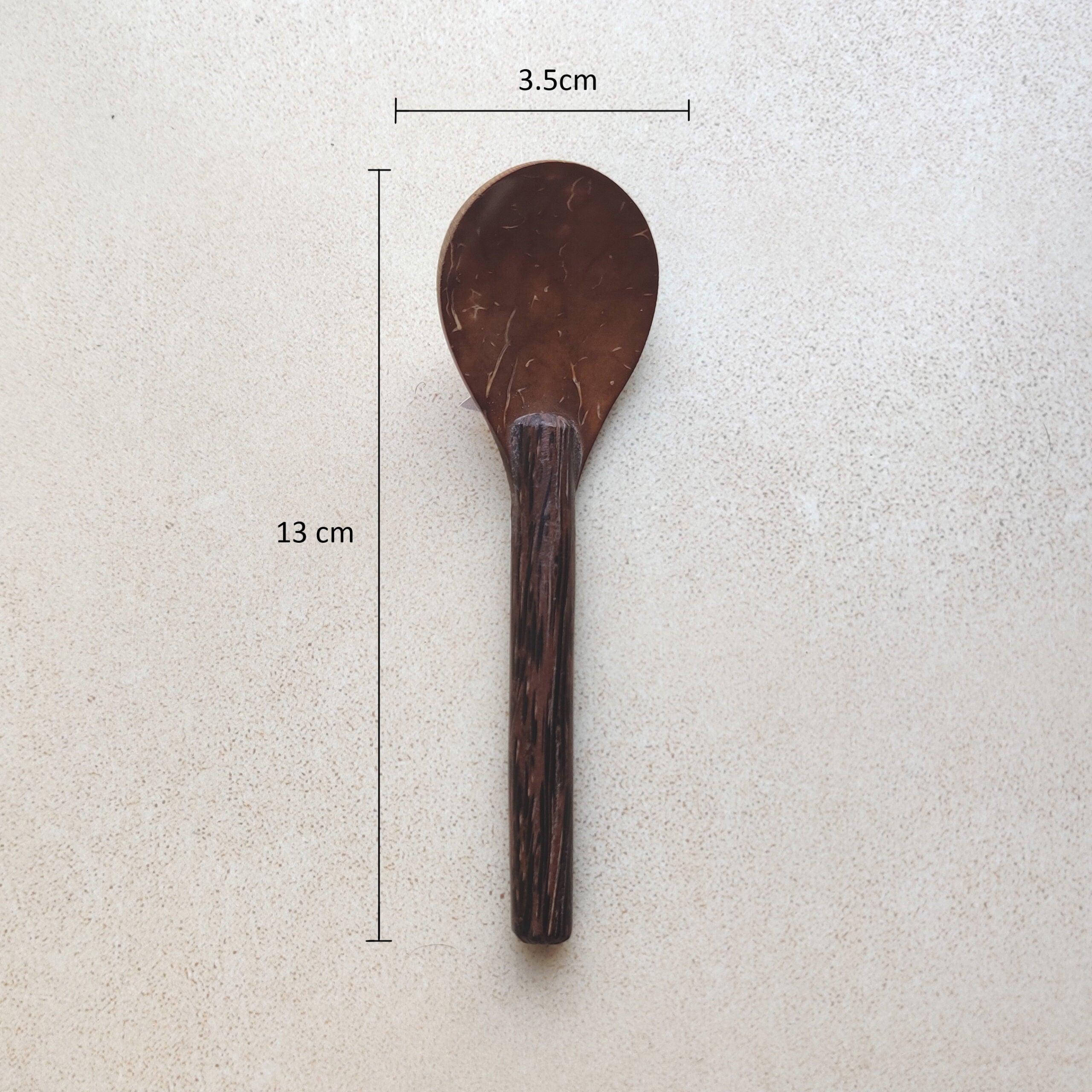 Coconut Shell Spoons- set of 6