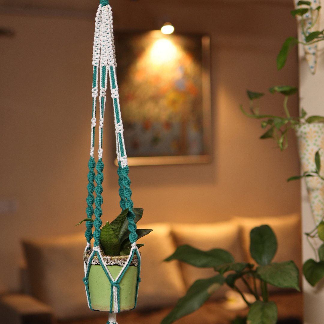 Teal Web Macrame Plant Holder