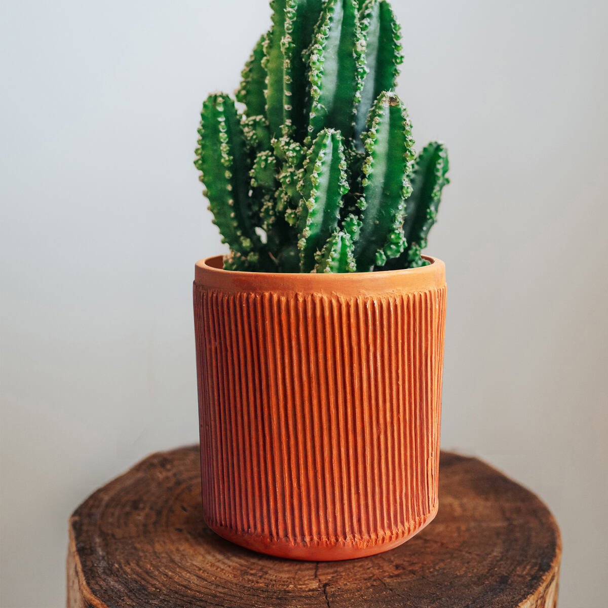 Terracotta Cylindrical Pillow Planter-Set of 2