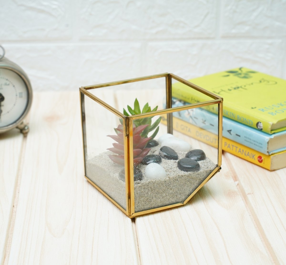 Terrarium Glass Containers with Terrarium Grow Kit (Golden Square)