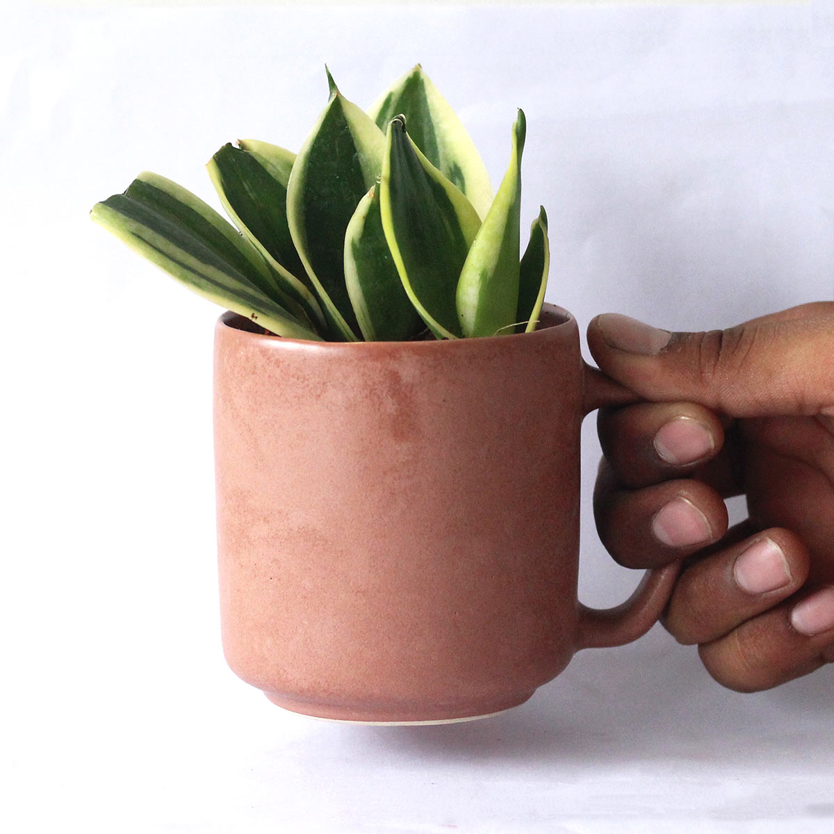 Vasu Recycled Ceramic Desk Planter with holder