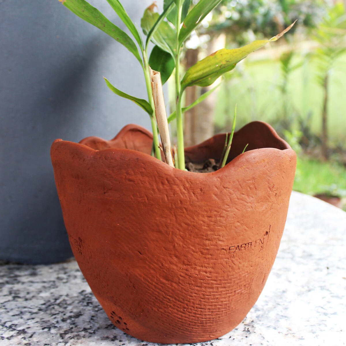 Wavy- Jute Textured Terracotta Planter Set of 2