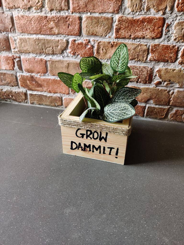 Wooden Square Small Planter: Grow Dammit