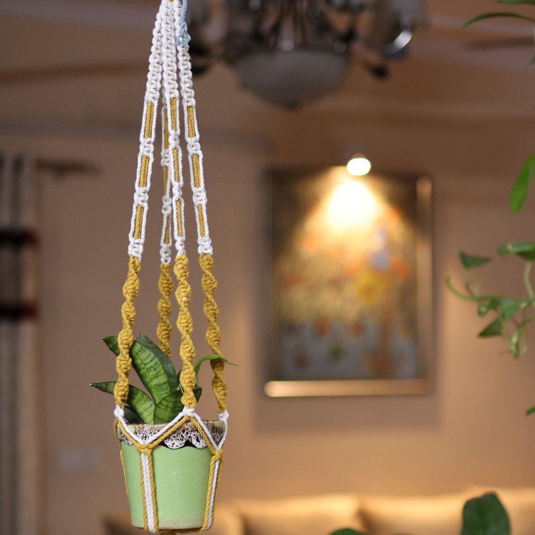 Yellow Web Macrame Plant Holder